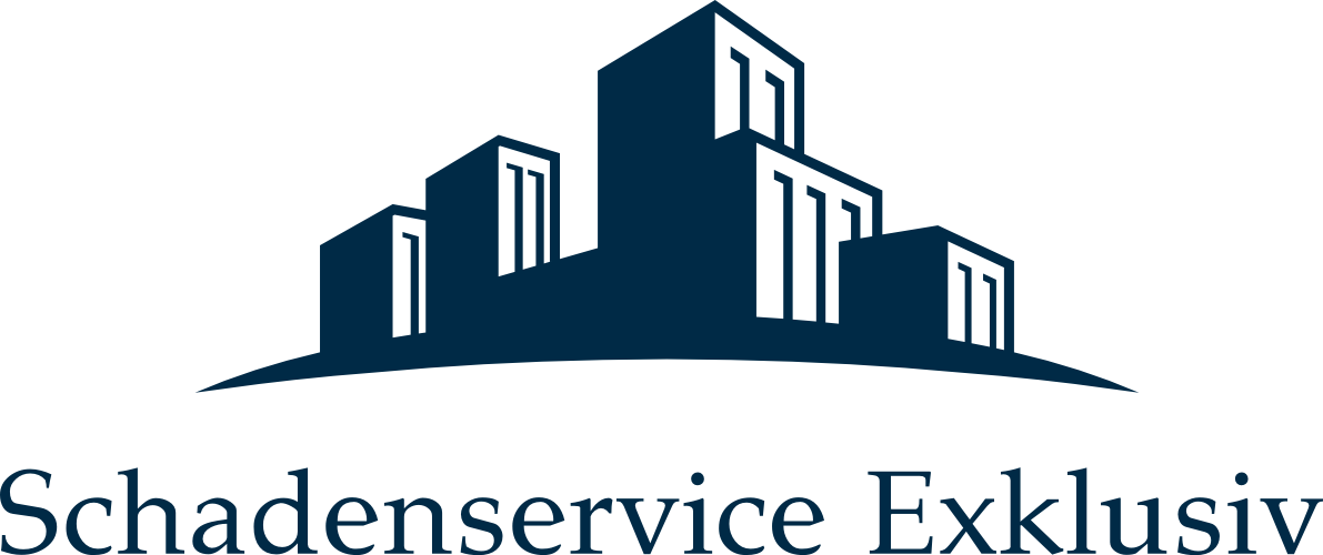Logo Schadenservice exklsuiv